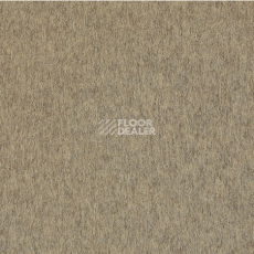 Ковровая плитка Interface Superflor 9194 Berber Beige фото 1 | FLOORDEALER